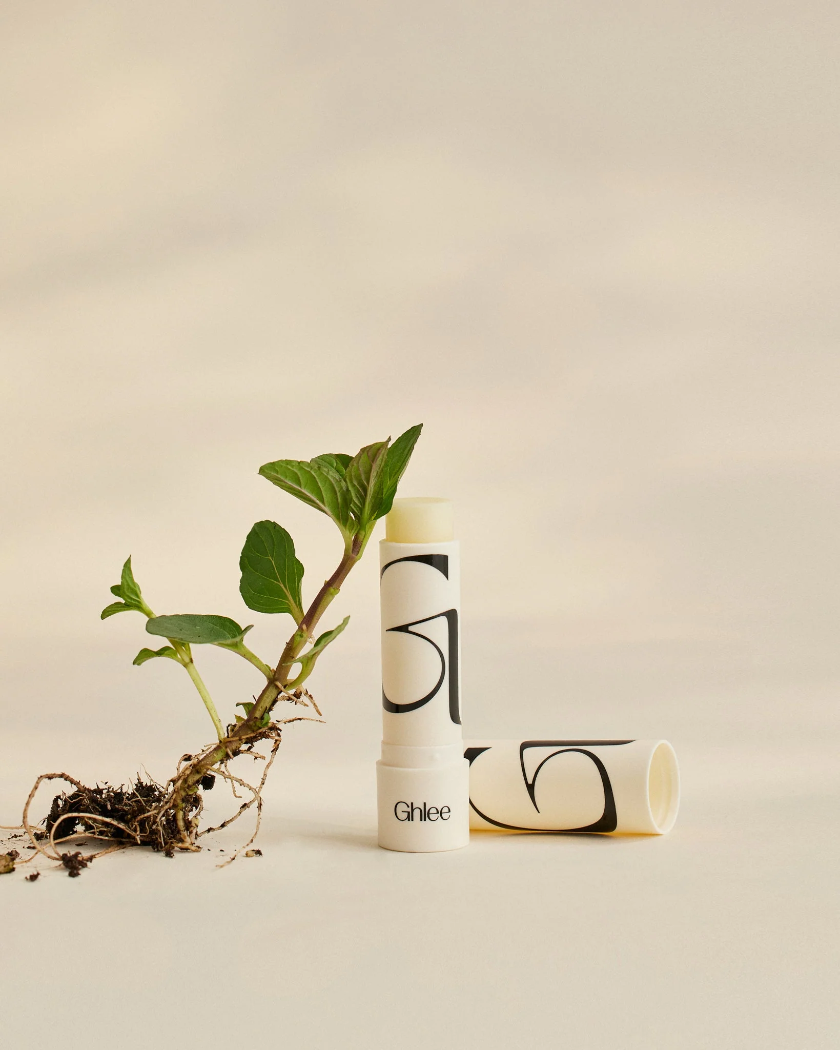 Ghee-Based lip Balm - Image 3