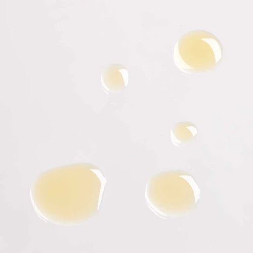 Mini Rosehip + Black Cumin Clarifying Face Oil 6 ml - Image 4